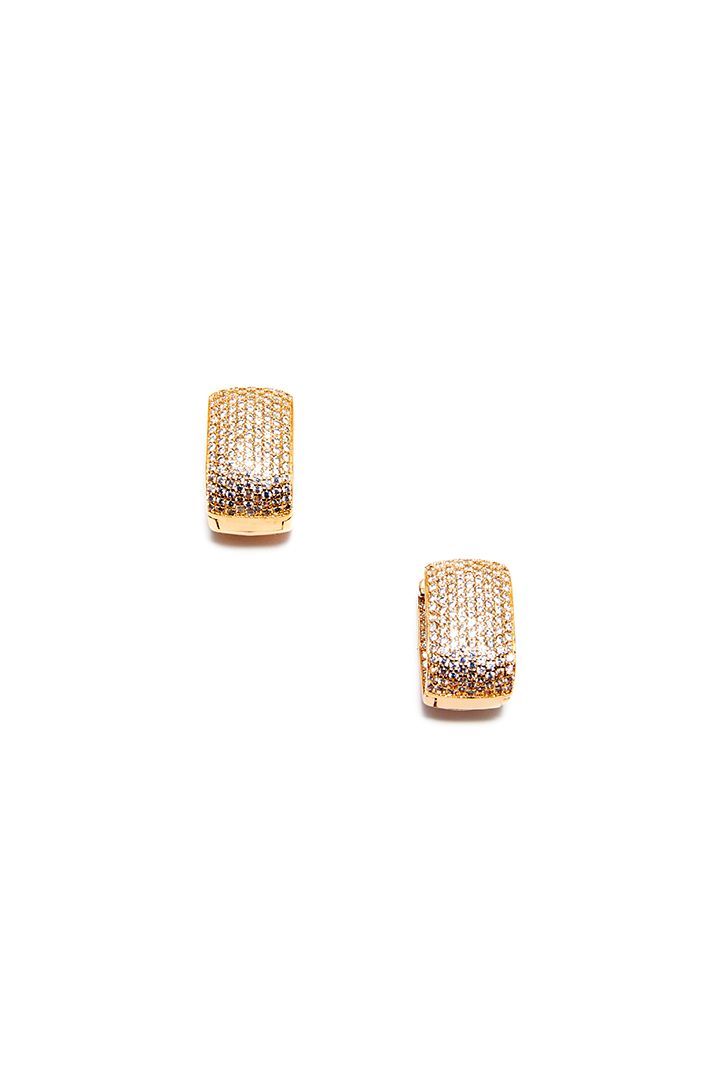 White Crystal Golden Earrings